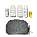 THE HEALTHY HAIR TRAVEL SET